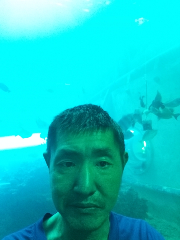 陸戰隊的第一张照片--泰安相亲服务中心