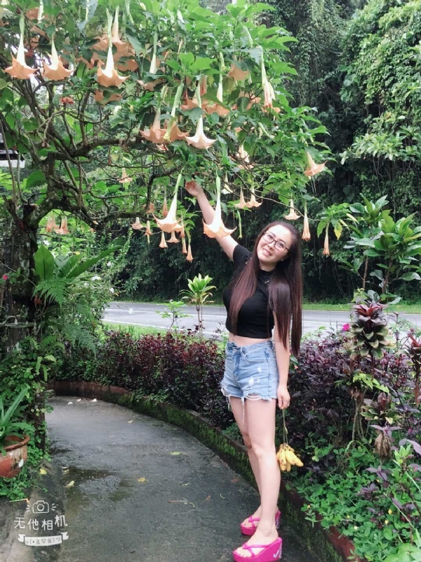 离异单身无子的第二张照片--泰安相亲服务中心