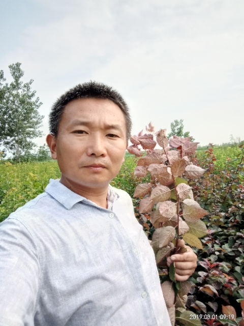孩子爸的第一张照片--泰安相亲服务中心
