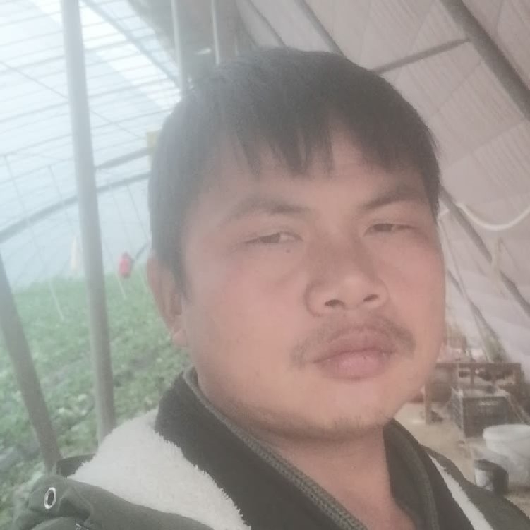 孤狼‘的第一张照片--泰安相亲服务中心