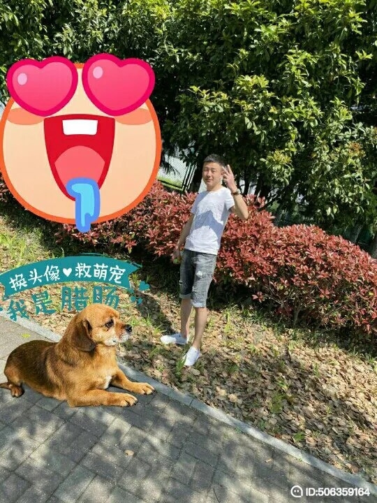 我若不坚强谁替我勇敢的第一张照片--泰安相亲服务中心