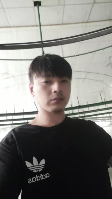 久鑫的第一张照片--泰安相亲服务中心