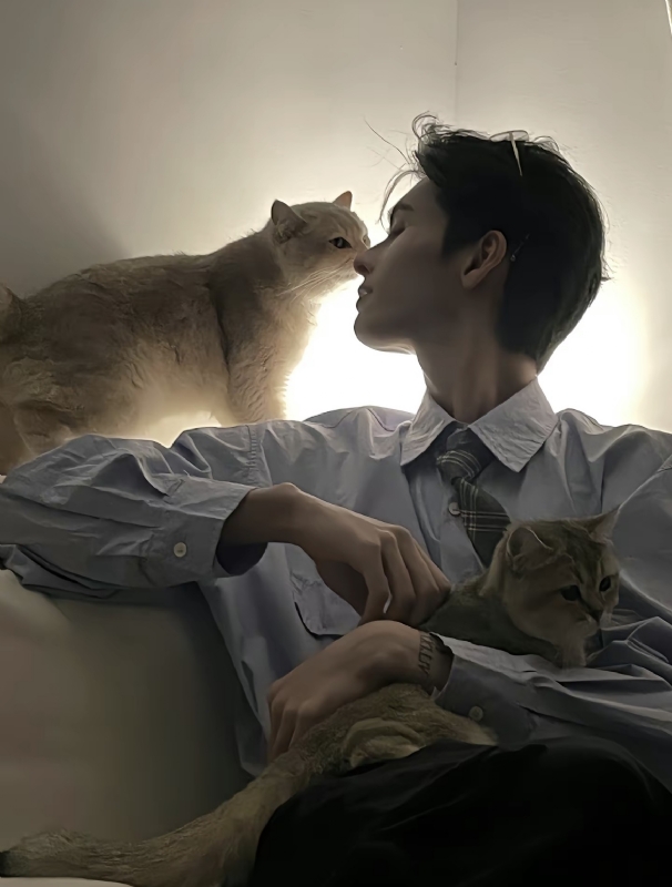 怪猫的第一张照片--泰安相亲服务中心