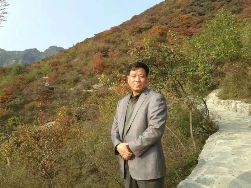 古树的第一张照片--泰安相亲服务中心