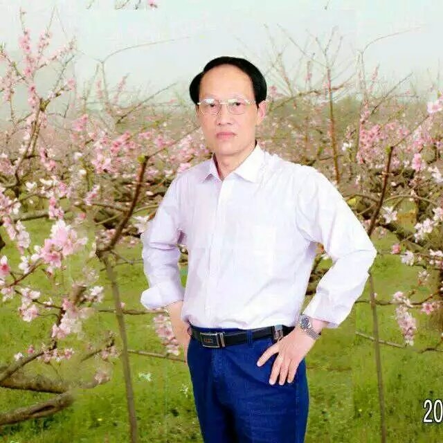 枫叶的第一张照片--泰安相亲服务中心